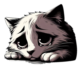 :catsad: